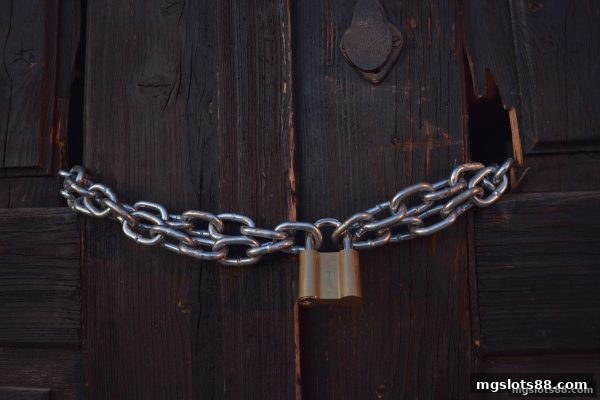 mg电子深度剖析：二十一点平台关停风险与每日返水追索全攻略