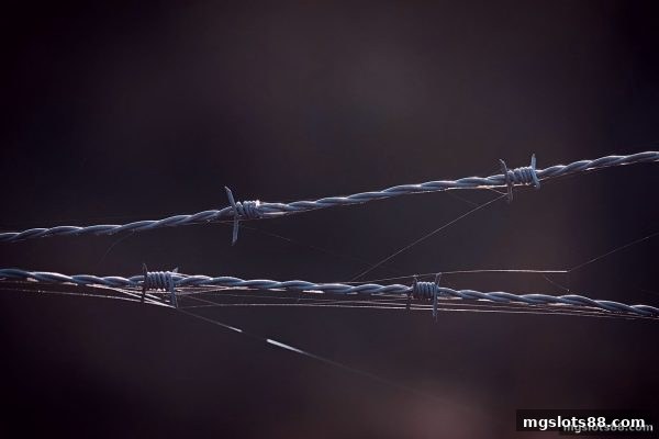 mg电子解读：菲律宾娱乐牌照与路单分析的理性边界